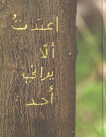 اعتدت ألا يراني أحد