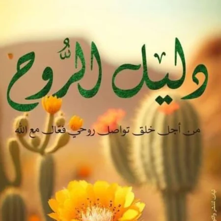 دليل الروح
