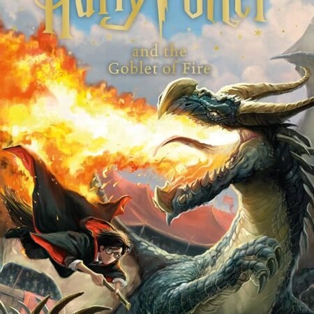 Harry Potter and the Goblet of Fire 4
